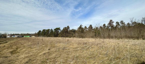 Terrain à Deutsch-Wagram, Austria 500m² No. 213269 6