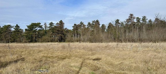 Terrain à Deutsch-Wagram, Austria 500m² No. 213269 7