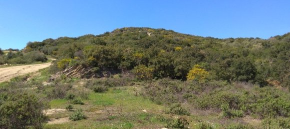 13500m² Hotel in Chalkidiki, Greece No. 5776 2