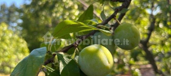 5-salle Propriété commerciale à Erba, Italy No. 279655 27