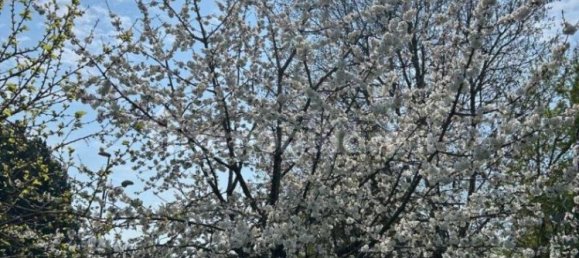 5-salle Propriété commerciale à Erba, Italy No. 279655 18