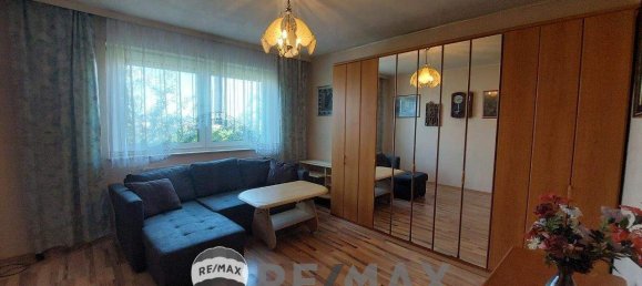 5-Zimmer Bungalow in Wien, Austria, Nr. 132319 11