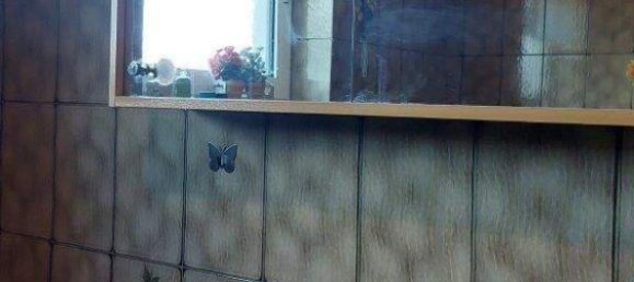 5-Zimmer Bungalow in Wien, Austria, Nr. 132319 18