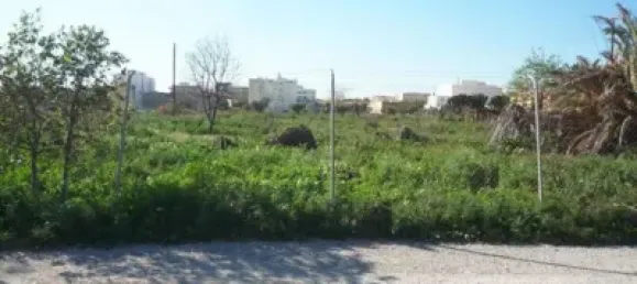 Terreno en Mutxamel, Spain No. 104005 2