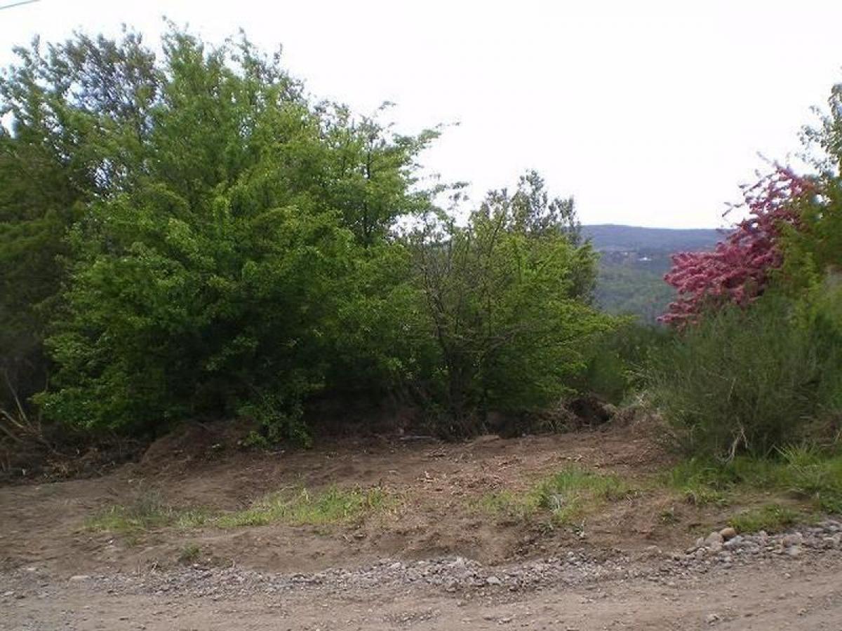  Land in Neuquen, Argentina No. 33809