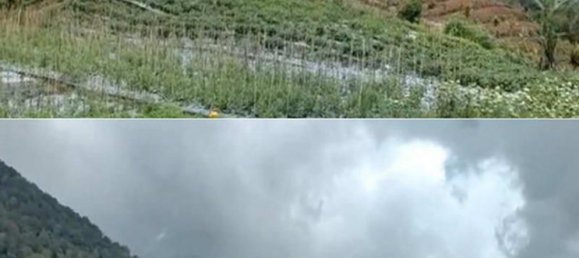 Grundstück in Buleleng, Indonesia 5000m², Nr. 4342 3