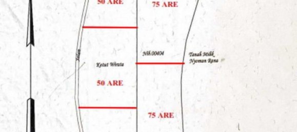 Grundstück in Buleleng, Indonesia 5000m², Nr. 4342 8