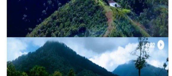 Grundstück in Buleleng, Indonesia 5000m², Nr. 4342 5