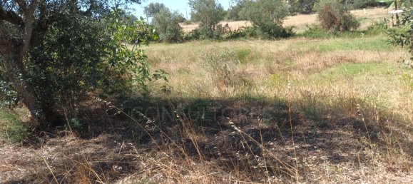 Terreno em Benavente, Portugal 27900 m² N.º 134775 6