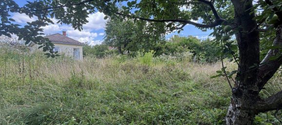 Terrain à Vienna, Austria No. 203600 9