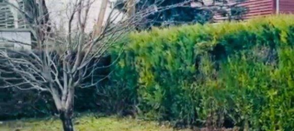 Terrain à Vienna, Austria No. 203600 5