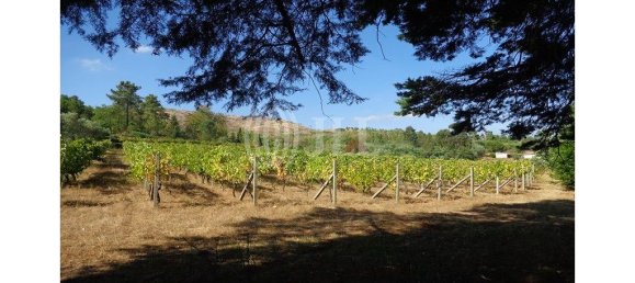 9 bedrooms Hotel in Mangualde, Portugal No. 41396 29