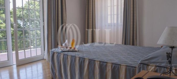 9 bedrooms Hotel in Mangualde, Portugal No. 41396 9