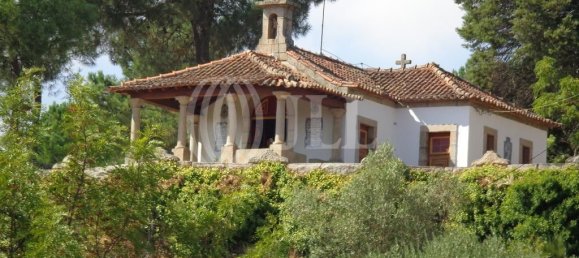 9 bedrooms Hotel in Mangualde, Portugal No. 41396 25