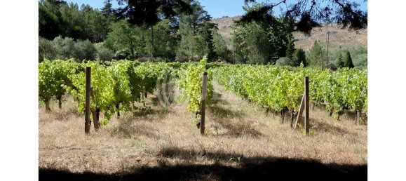 9 bedrooms Hotel in Mangualde, Portugal No. 41396 30