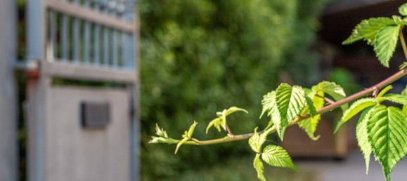 9 bedrooms Villa in Cento, Italy No. 313350 5