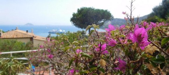 2 rooms Apartment in Rio, Italy No. 62341 5