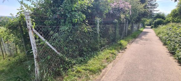 Terrain à Heilbronn, Germany No. 366469 2