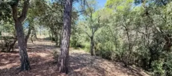 6 bedrooms House in Calonge, Spain No. 190366 22