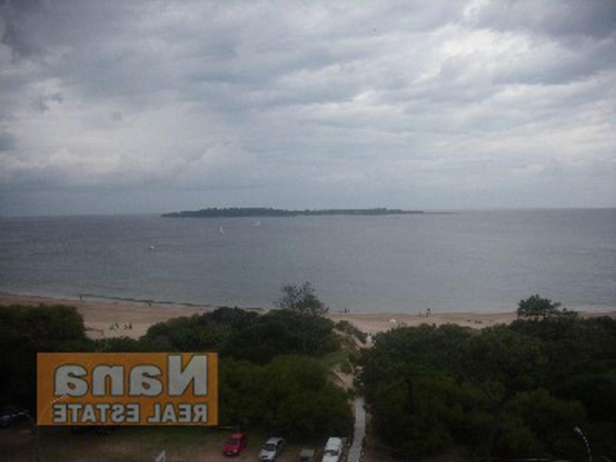 3 bedrooms Apartment in Maldonado, Uruguay No. 5831