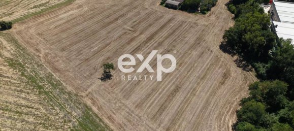 9 rooms House in Monte Porzio, Italy No. 310635 46