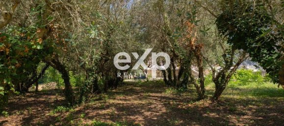 9 rooms House in Monte Porzio, Italy No. 310635 6