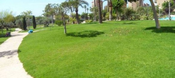 4 bedrooms Penthouse in Benidorm, Spain No. 74687 22