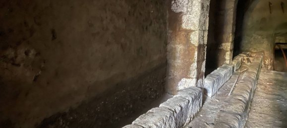 Gewerbliche Immobilie in Caprarola, Italy 125m², Nr. 224414 10