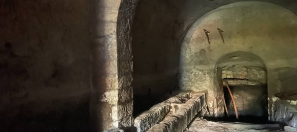 Gewerbliche Immobilie in Caprarola, Italy 125m², Nr. 224414 4