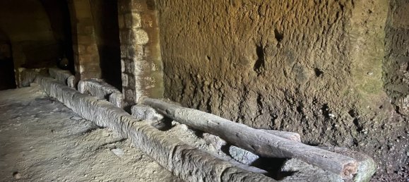 Gewerbliche Immobilie in Caprarola, Italy 125m², Nr. 224414 8