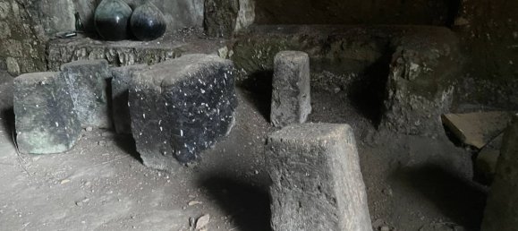 Gewerbliche Immobilie in Caprarola, Italy 125m², Nr. 224414 13