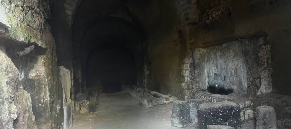 Gewerbliche Immobilie in Caprarola, Italy 125m², Nr. 224414 7