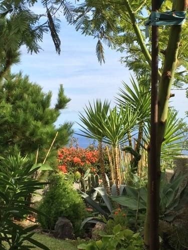 4 bedrooms House in Canico, Portugal No. 145754