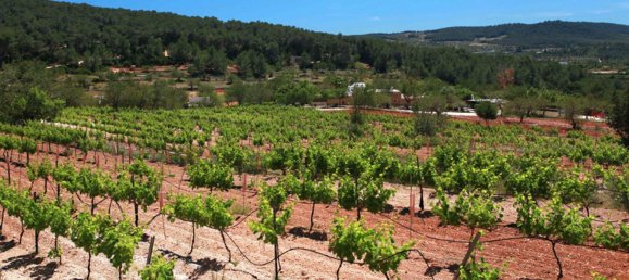 Земельный участок в Ивиса, Испания № 162893 3