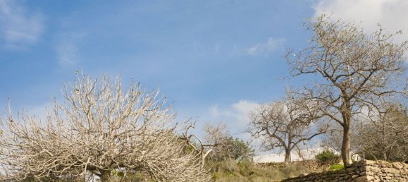 Земельный участок в Ивиса, Испания № 162893 2