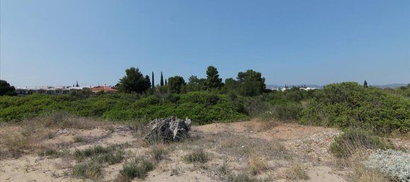 6974m² Hotel in Chalkidiki, Greece No. 6786 10