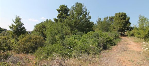 6974m² Hotel in Chalkidiki, Greece No. 6786 8