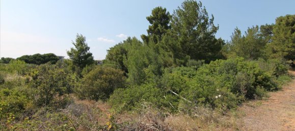 6974m² Hotel in Chalkidiki, Greece No. 6786 7