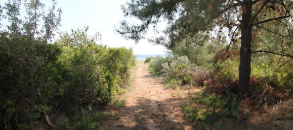 6974m² Hotel in Chalkidiki, Greece No. 6786 6