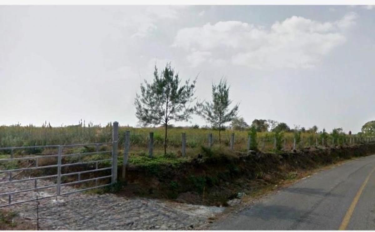 Estúdio em Tijuana, Mexico N.º 163477