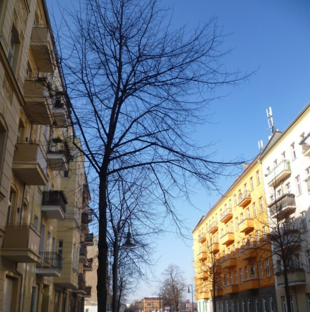 Studio à Friedrichshain, Germany No. 307251
