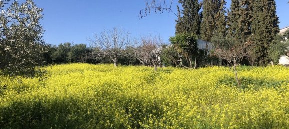 3 Schlafzimmer Gewerbliche Immobilie in Euboea, Greece, Nr. 2594 17