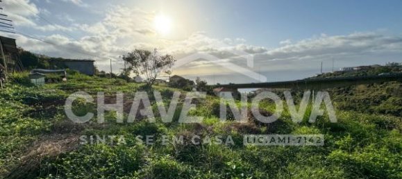 2 bedrooms House in Canico, Portugal No. 92281 18