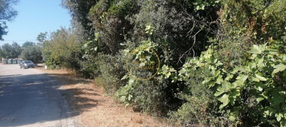 445m² Land in Loule, Portugal No. 214102 5