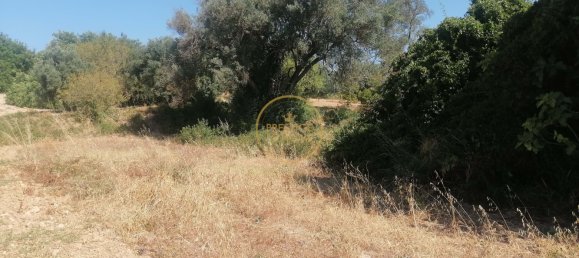 445m² Land in Loule, Portugal No. 214102 8