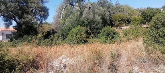 445m² Land in Loule, Portugal No. 214102 2