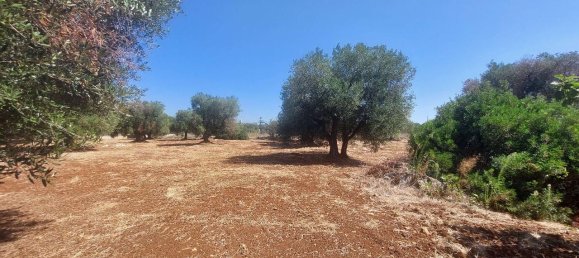 Terreno em Carovigno, Italy 14330 m² N.º 105867 7