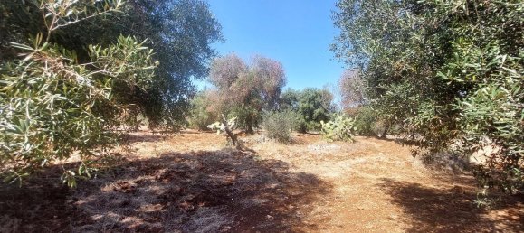 Terreno em Carovigno, Italy 14330 m² N.º 105867 6