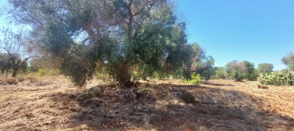 Terreno em Carovigno, Italy 14330 m² N.º 105867 2