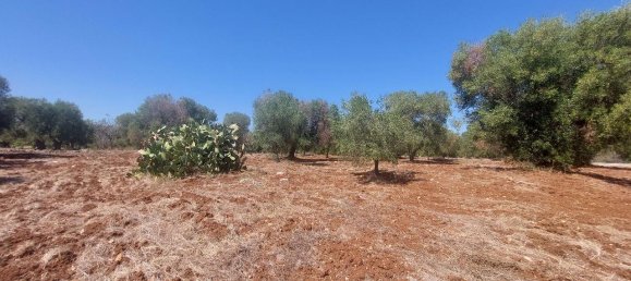 Terreno em Carovigno, Italy 14330 m² N.º 105867 3